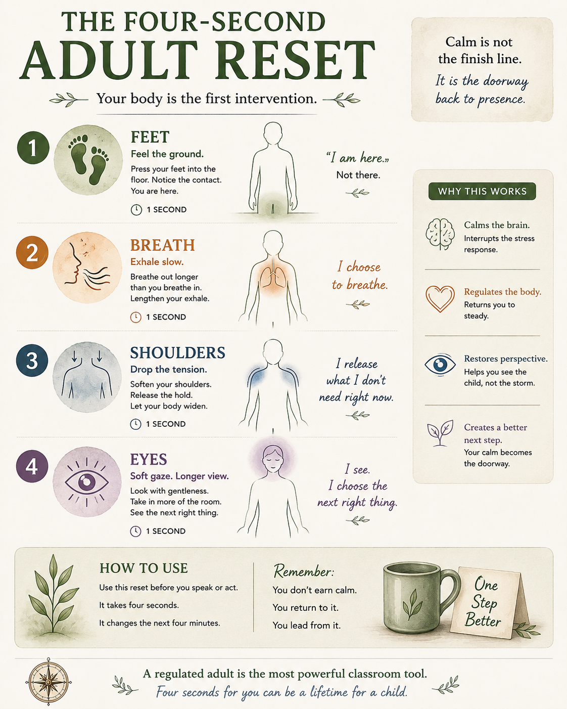 Adult reset visual showing body, breath, shoulders, and focus